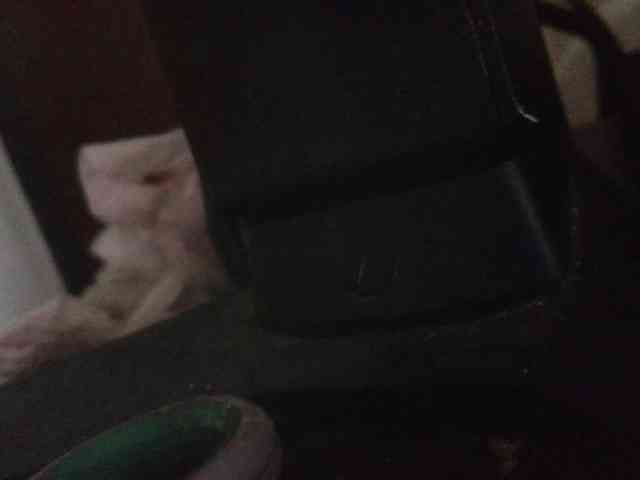 melanyisabell webcam