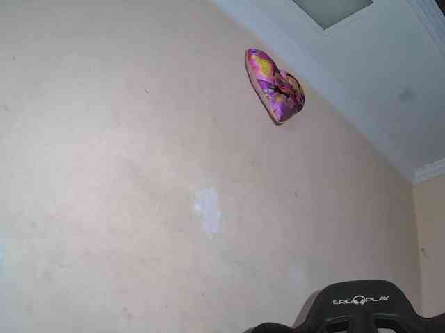 melanyisabell webcam