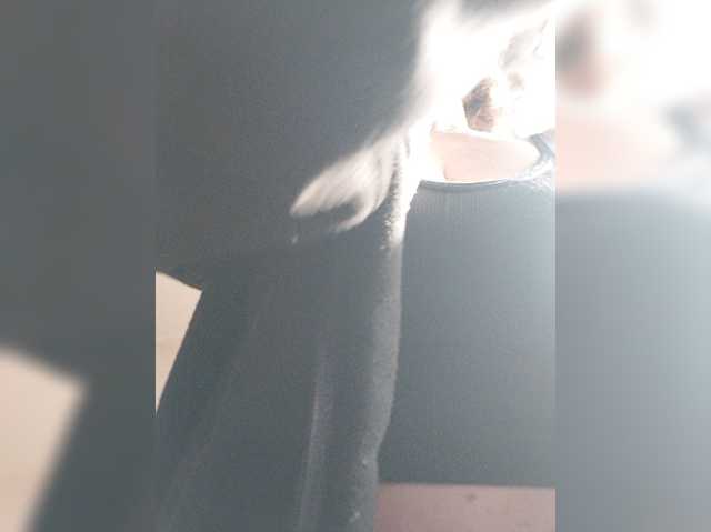 Kissaam
