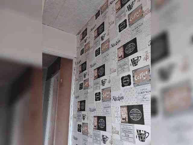 free adult cam xxx Kissaam