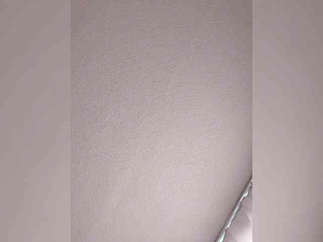 KissaHot webcam