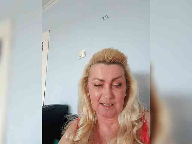 vetlaru webcam