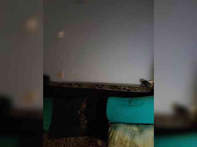 vetlaru webcam