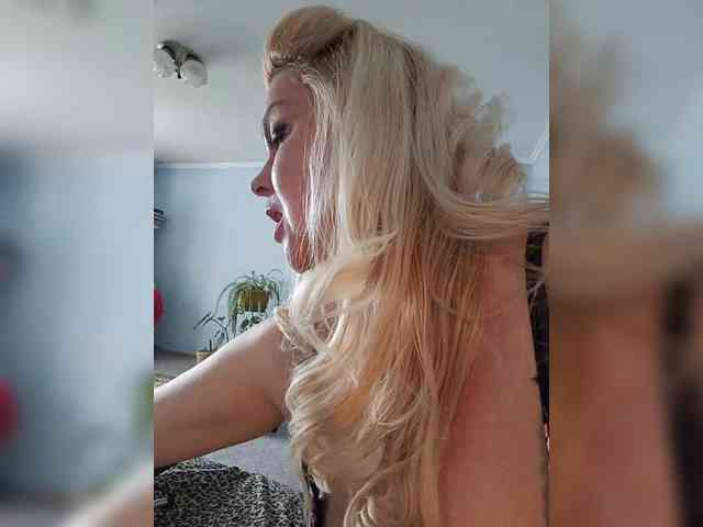 vetlaru webcam