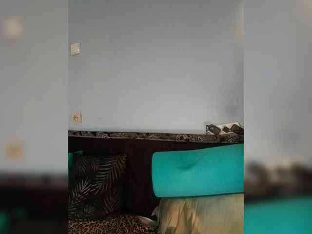 vetlaru webcam