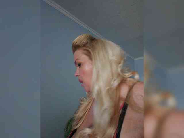 vetlaru webcam