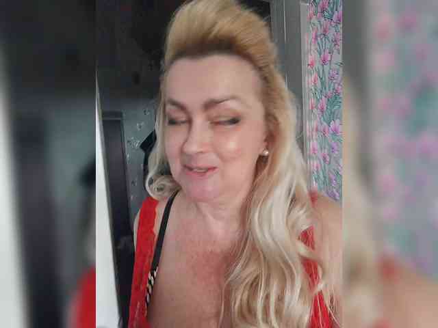 vetlaru webcam