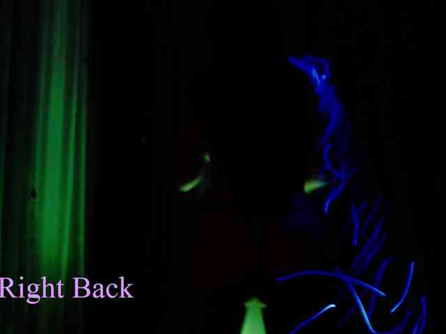 Angel-Vita webcam
