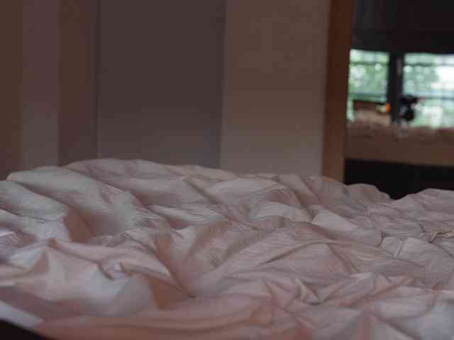 blackvelveet webcam