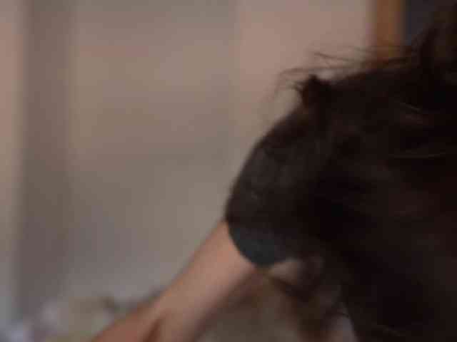 blackvelveet