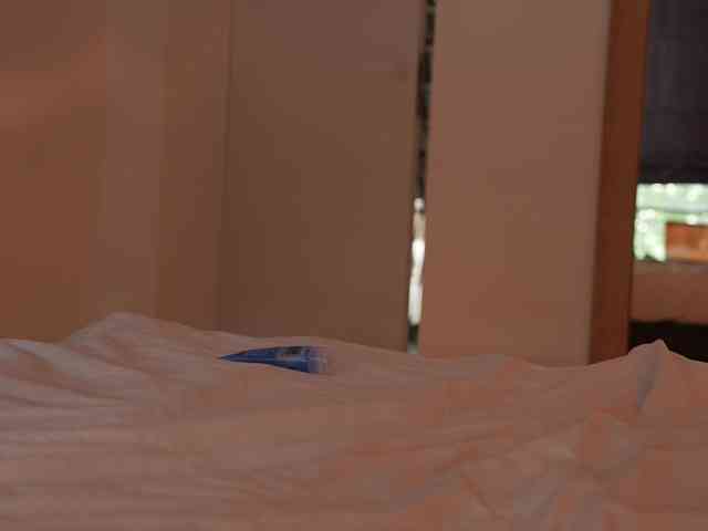 blackvelveet webcam