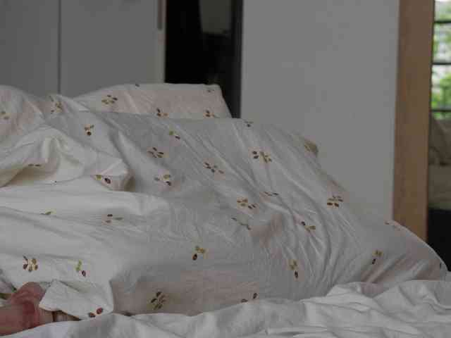blackvelveet webcam