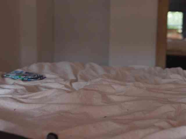 blackvelveet webcam