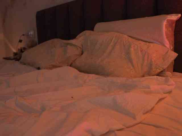 blackvelveet webcam