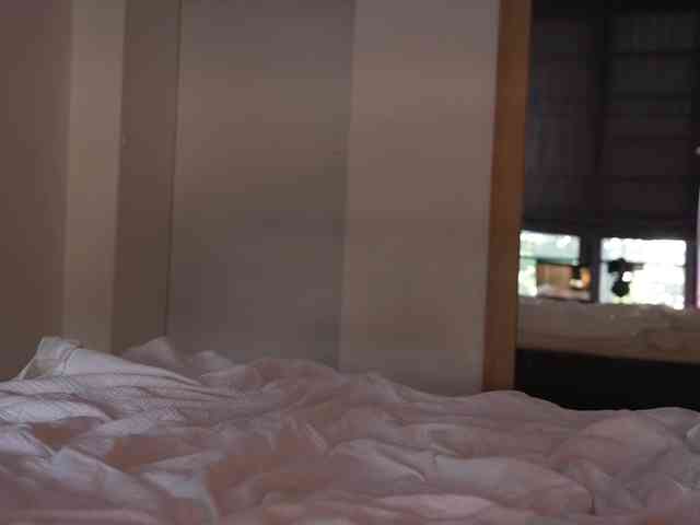 blackvelveet webcam