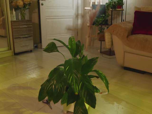 KOTTYAA