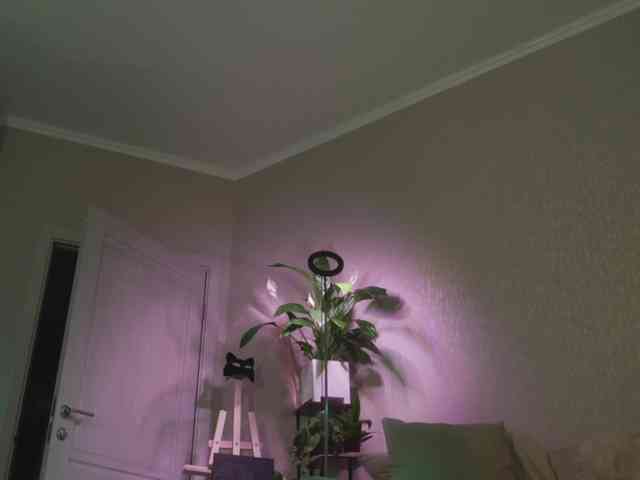 KOTTYAA webcam