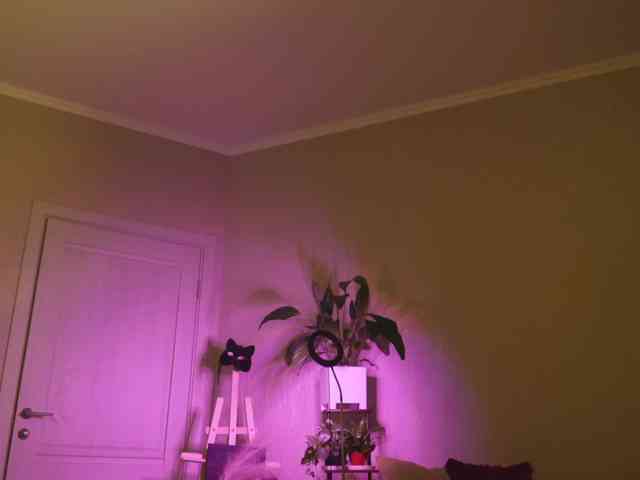 Kottyaaaa Sex Cam Show