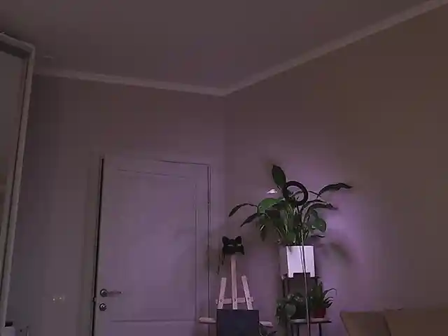 Kottyaaaa