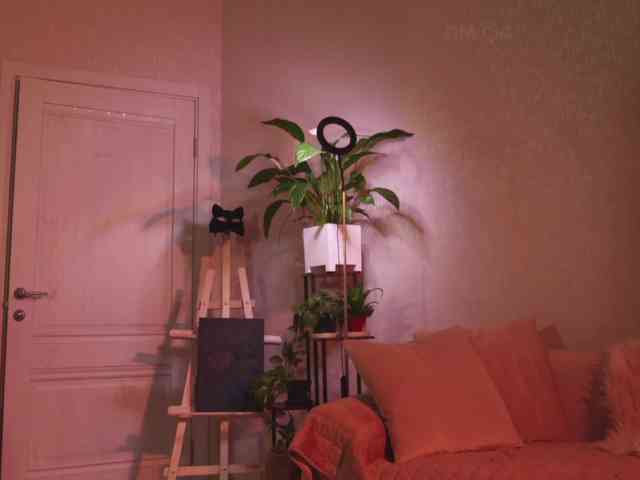 KOTTYAA webcam