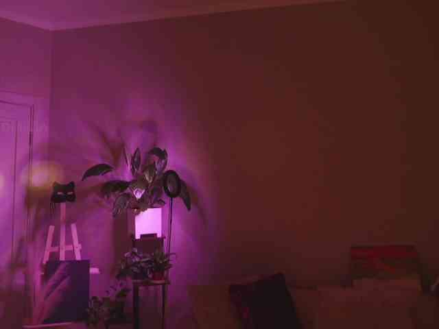 KOTTYAA webcam