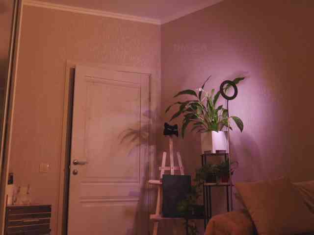 KOTTYAA webcam