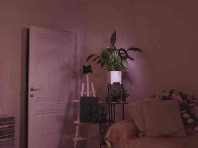 KOTTYAA webcam