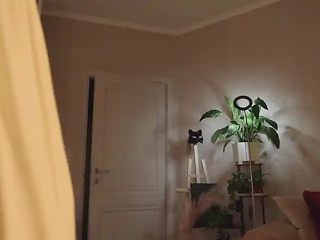 Kottyaaaa
