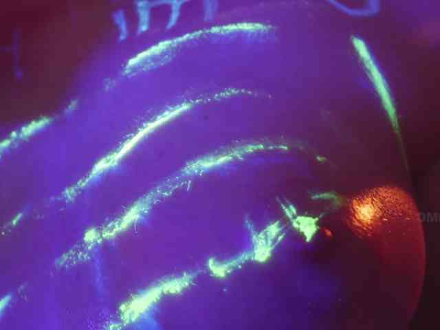 KOTTYAA webcam