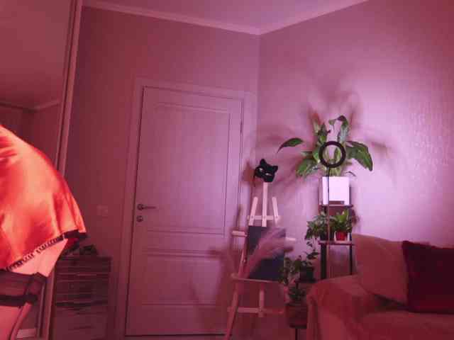 KOTTYAA webcam