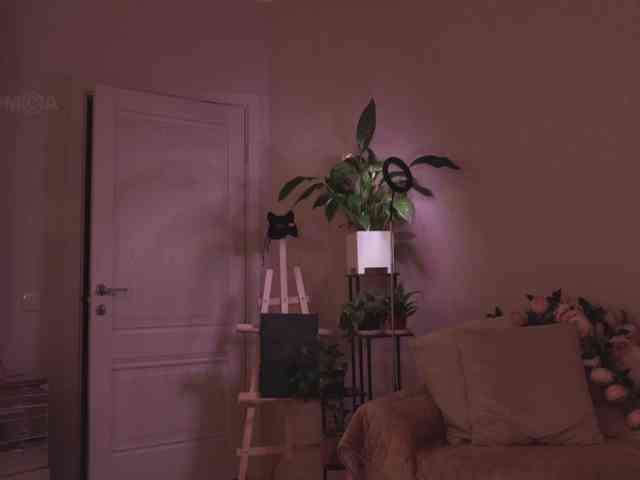 KOTTYAA webcam