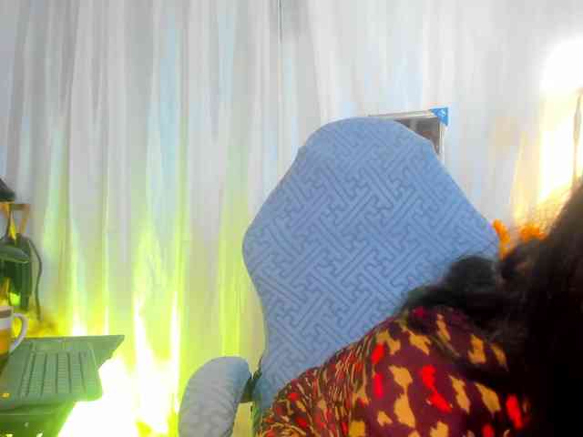 girasol-walto webcam