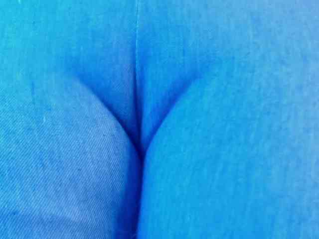 girasol-walto webcam