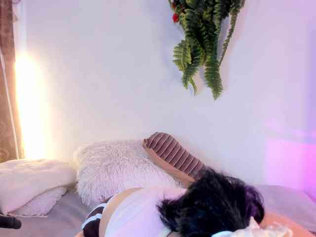 girasol-walto webcam
