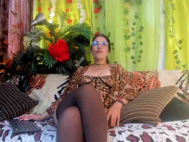 girasol-walto webcam