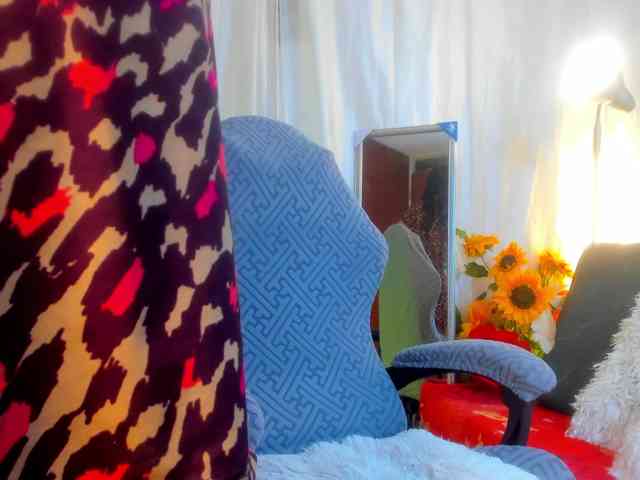girasol-walto