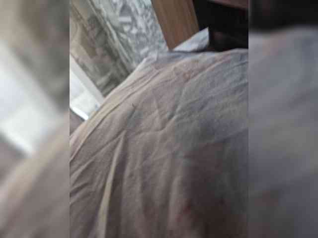 Kira183 webcam
