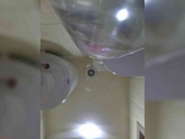 Kira183 webcam