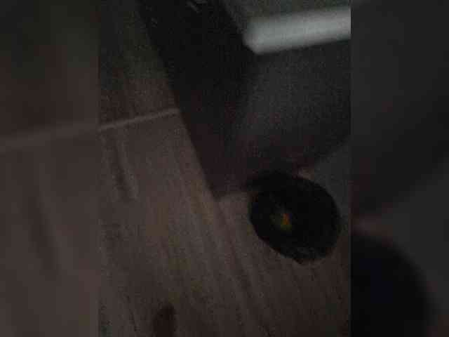 Kira183 webcam
