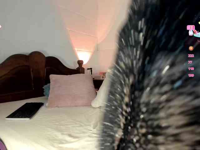 Sweetnina webcam