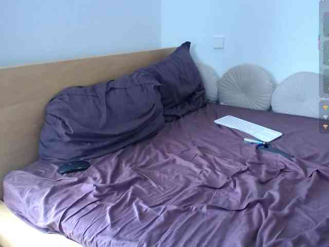 Waldis08