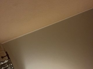 Dashahot8989 Porn Show