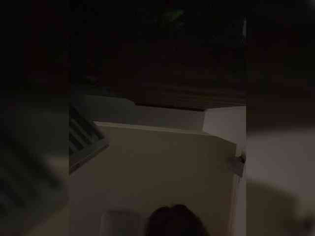 Wetshow webcam