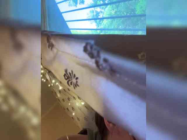 Wetshow webcam