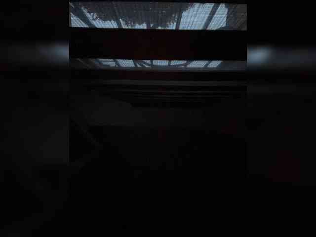 Dashahot8989 webcam