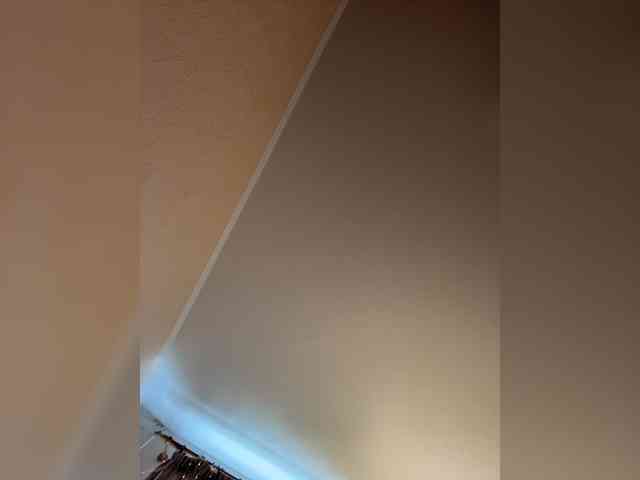 Wetshow webcam