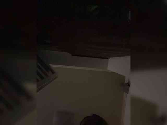 Wetshow webcam