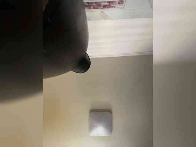 Wetshow