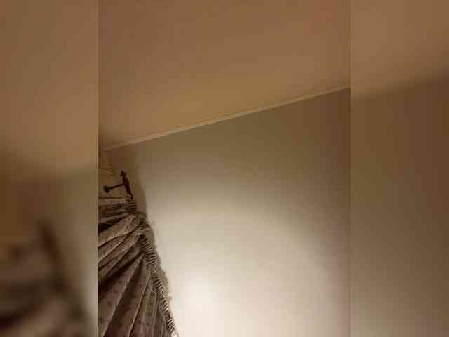 Wetshow