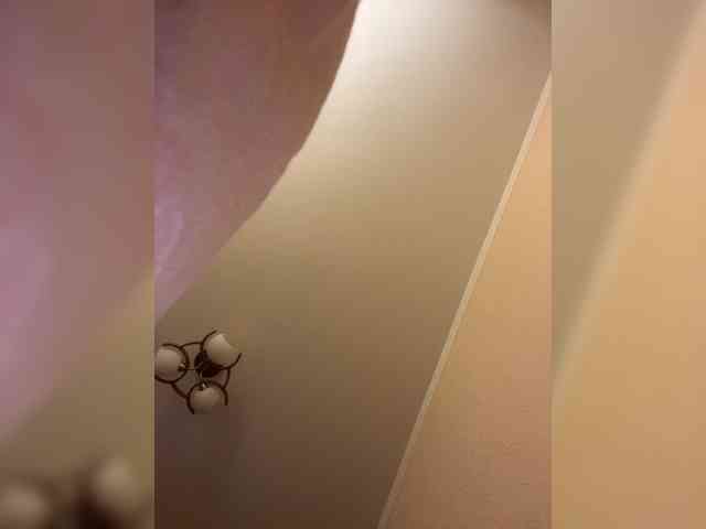 Wetshow webcam
